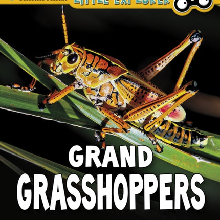 Grand Grasshoppers