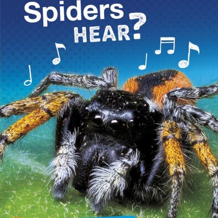 How Do Spiders Hear