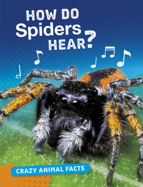 How Do Spiders Hear