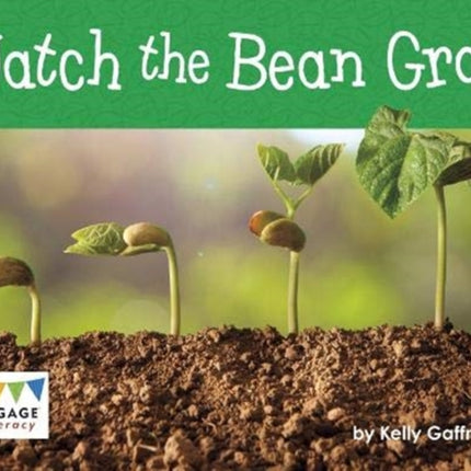 Watch the Bean Grow