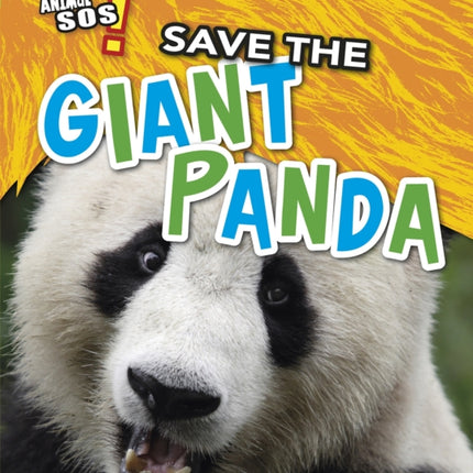 Save the Giant Panda