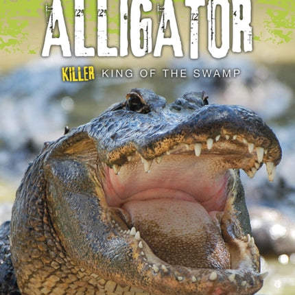 Alligator: Killer King of the Swamp