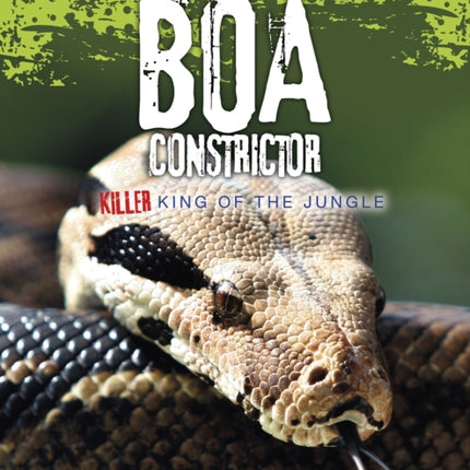 Boa Constrictor: Killer King of the Jungle