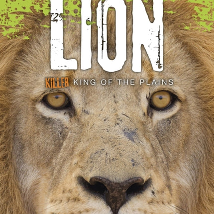 Top of the Food Chain Lion Killer King of the Plains