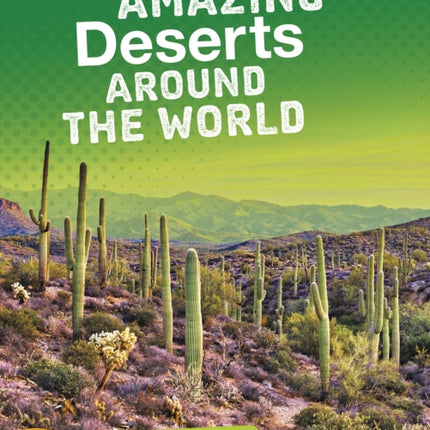 Amazing Deserts Around the World