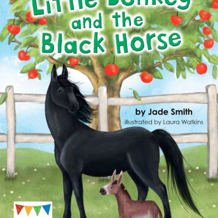 Little Donkey and the Black Horse