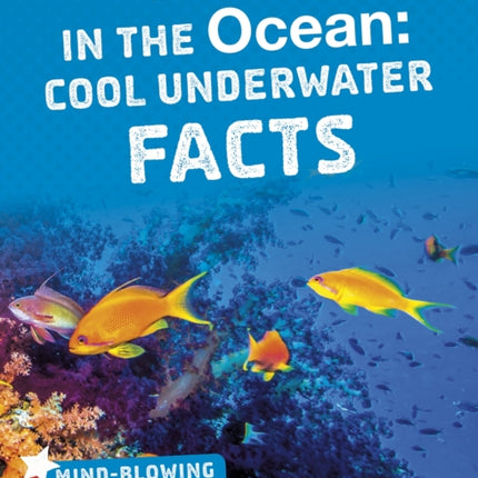 Lakes in the Ocean: Cool Underwater Facts