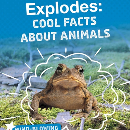 A Toad That Explodes: Cool Facts About Animals