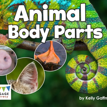 Animal Body Parts