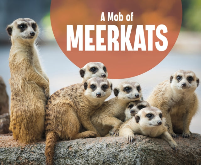 A Mob of Meerkats