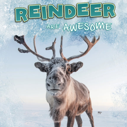 Reindeer Are Awesome