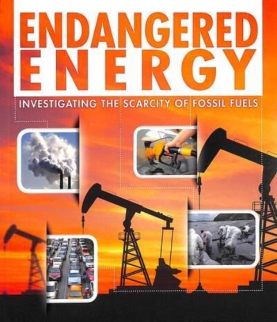 Endangered Energy: Investigating the Scarcity of Fossil Fuels