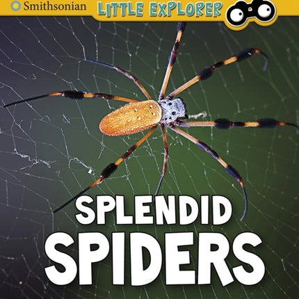 Splendid Spiders