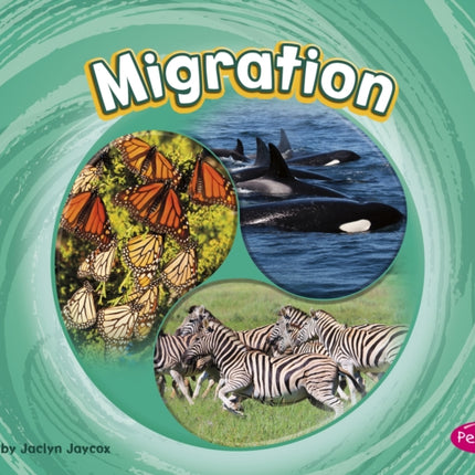 Migration