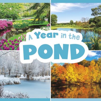 A Year in the Pond