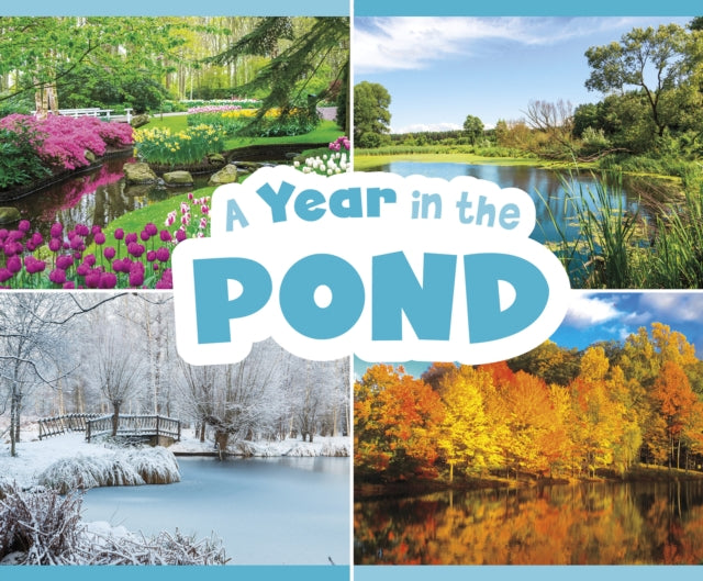 A Year in the Pond