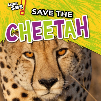 Save the Cheetah