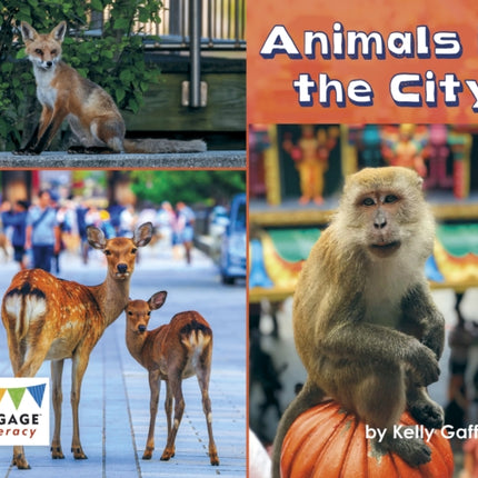 Animals in the City