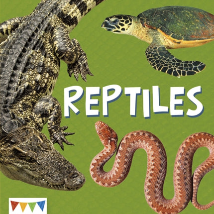 Reptiles