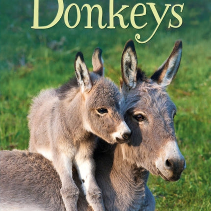 Donkeys