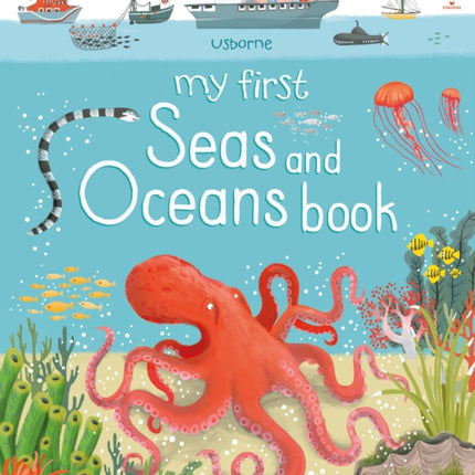 My First Seas and Oceans Book