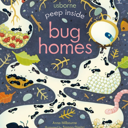 Peep Inside Bug Homes