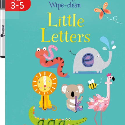 Early Years WipeClean Little Letters
