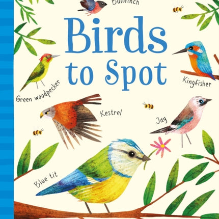 Birds to Spot