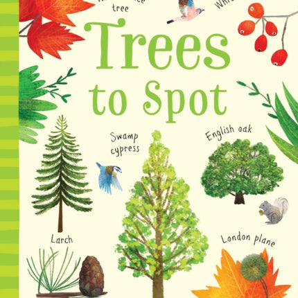 Trees to Spot