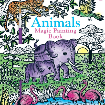 Animals Magic Painting Book