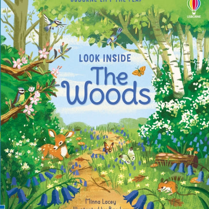 Look Inside the Woods