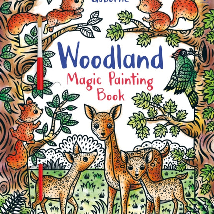 Woodland Magic Painting Book