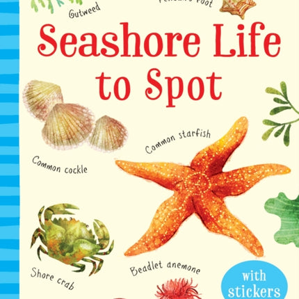 Seashore Life to Spot