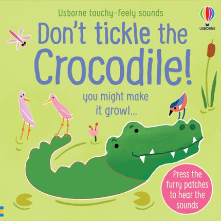 Don't Tickle the Crocodile!