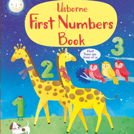 First Numbers Book