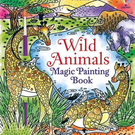 Wild Animals Magic Painting Book