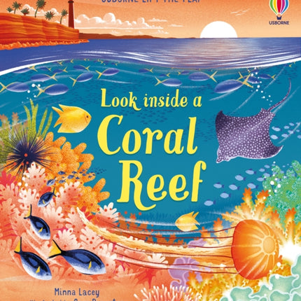 Look inside a Coral Reef