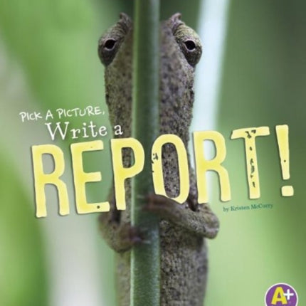 Write a Report!