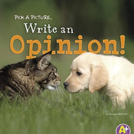 Write an Opinion!