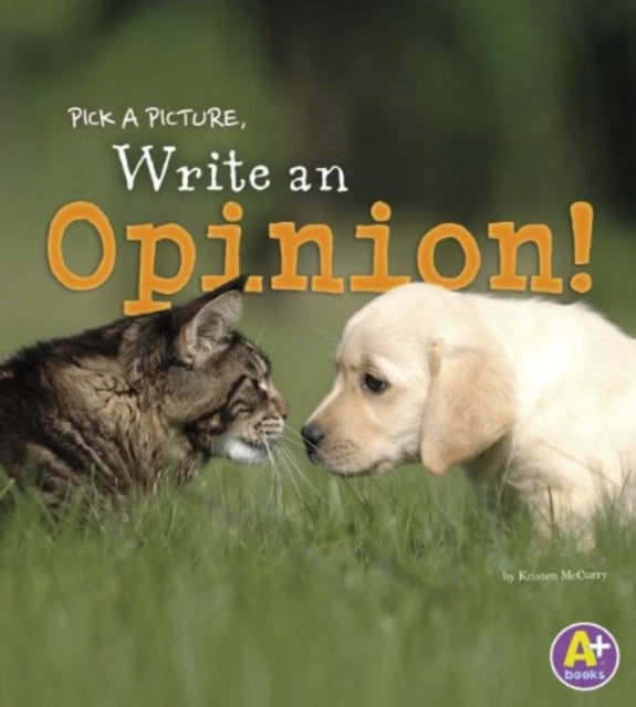 Write an Opinion!