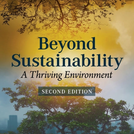 Beyond Sustainability