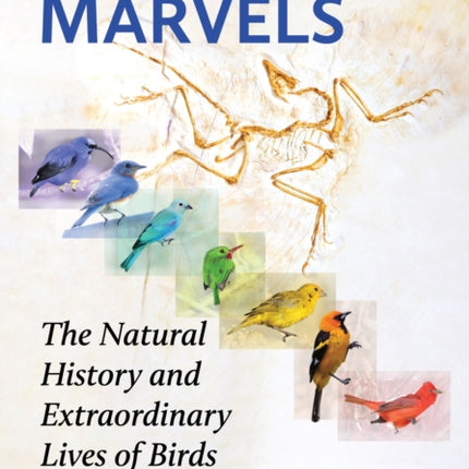 Feathered Marvels