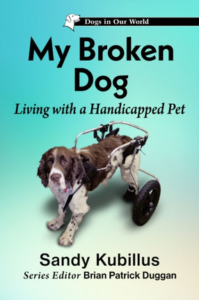 My Broken Dog