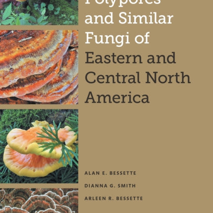 Polypores and Similar Fungi of Eastern and Central North America