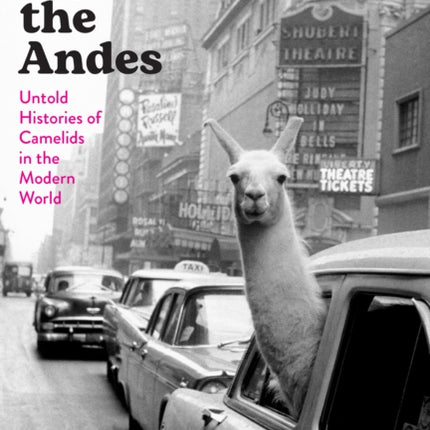 Llamas beyond the Andes: Untold Histories of Camelids in the Modern World