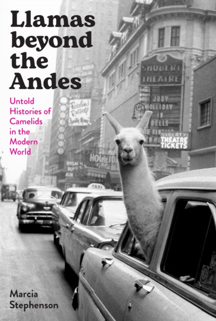 Llamas beyond the Andes: Untold Histories of Camelids in the Modern World