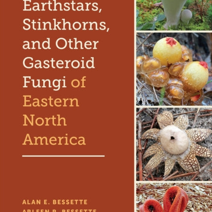 Puffballs Earthstars Stinkhorns and Other