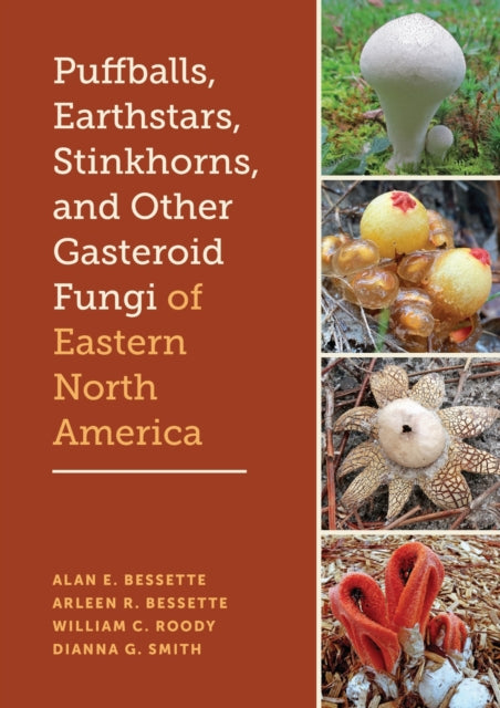 Puffballs Earthstars Stinkhorns and Other