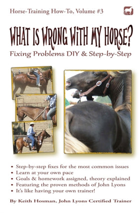 What Is Wrong with My Horse Fixing Problems DIY  StepbyStep 3 Horse Training HowTo