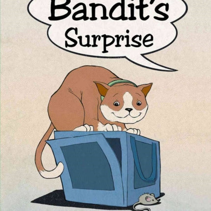 Bandits Surprise